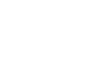 Consol Group