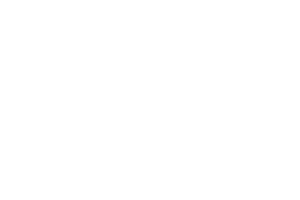 Snoonu