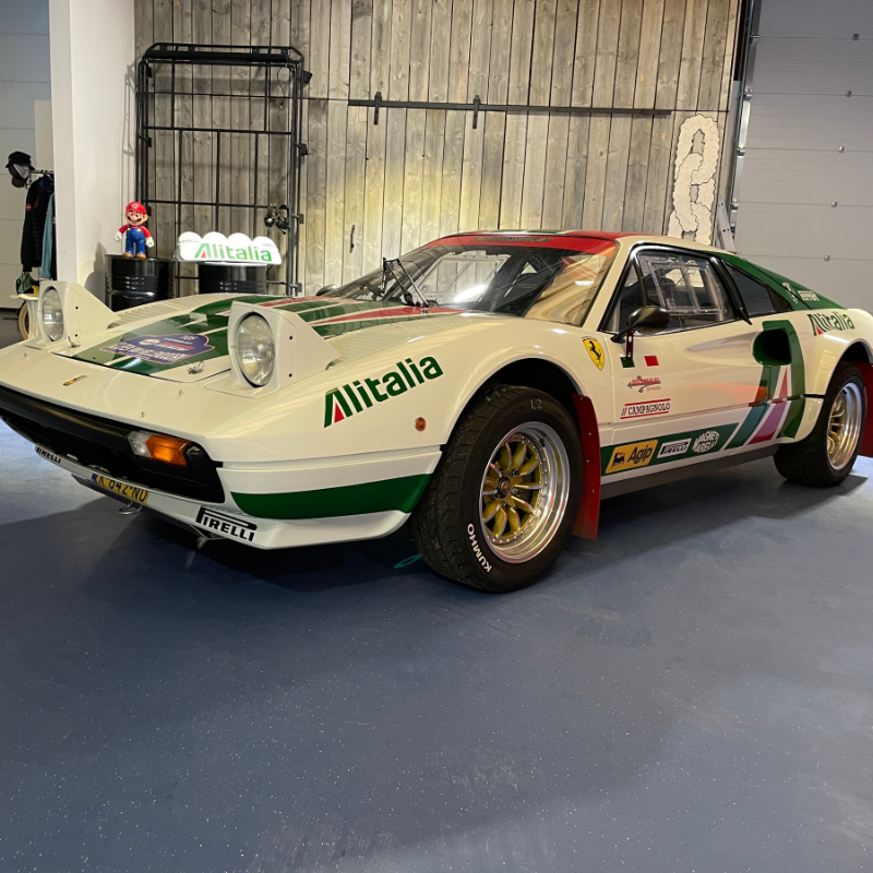 Ferrari 308 - 1982 Rally group 4 Vetroresina aanwezig